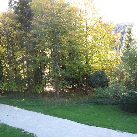 Ferienhaus Zweihaeusl Mönichkirchen Buitenkant foto